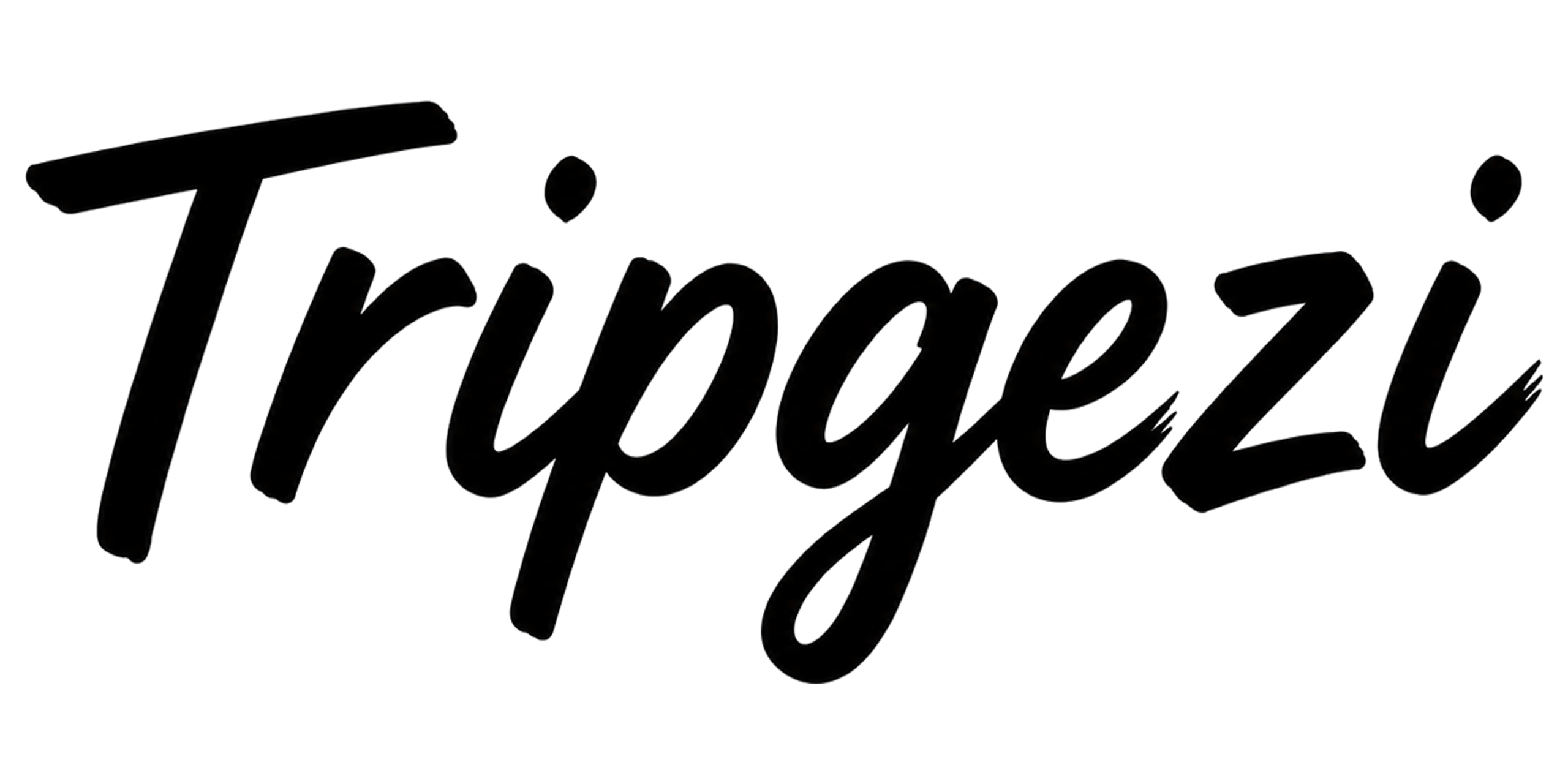 Tripgezi